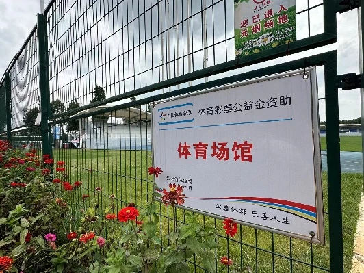 为什么模拟训练是篮球发展的重要环节_1